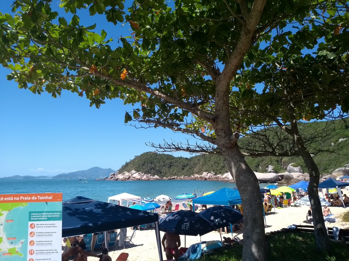 A sandy beach setting is depicted, with a variety of colorful umbrellas providing shade for visitors. Trees with green foliage frame the scene, and the ocean is visible in the background, reflecting a clear blue sky. Beachgoers can be seen enjoying the sun and water.