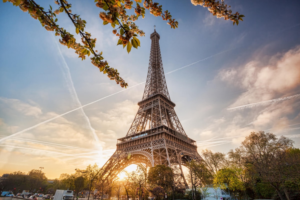 The Eiffel Tower is captured against a golden sky, with branches adorned with blooming flowers in the foreground. The iconic structure stands tall surrounded by lush greenery, and soft light filters through the trees, highlighting the beauty of the surroundings.