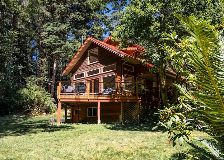 10 Best PetFriendly Airbnbs In Vancouver Island, Canada Updated 2024