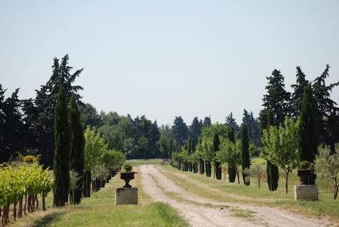 Beautiful farmhouse in the heart of a vineyard