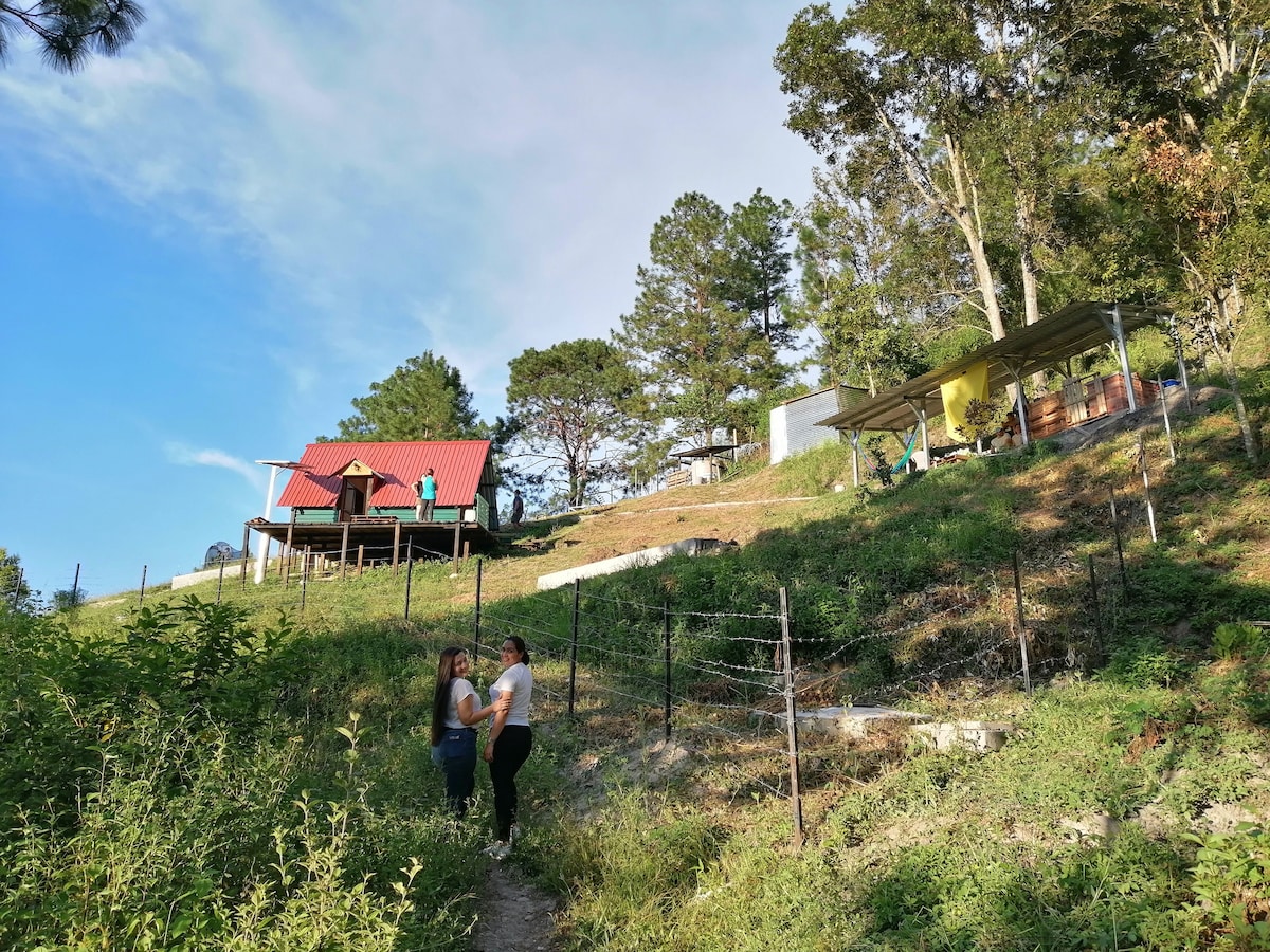 A hillside view showcases a rustic cabin with a red roof, surrounded by greenery. A covered outdoor area is visible nearby, extending the usable space. Two individuals are seen walking along a dirt path amidst the lush vegetation, suggesting a serene environment.