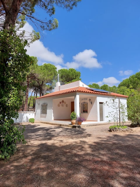 Top Airbnb: Casa Patsy - cozy off grid vacation home in Albacete