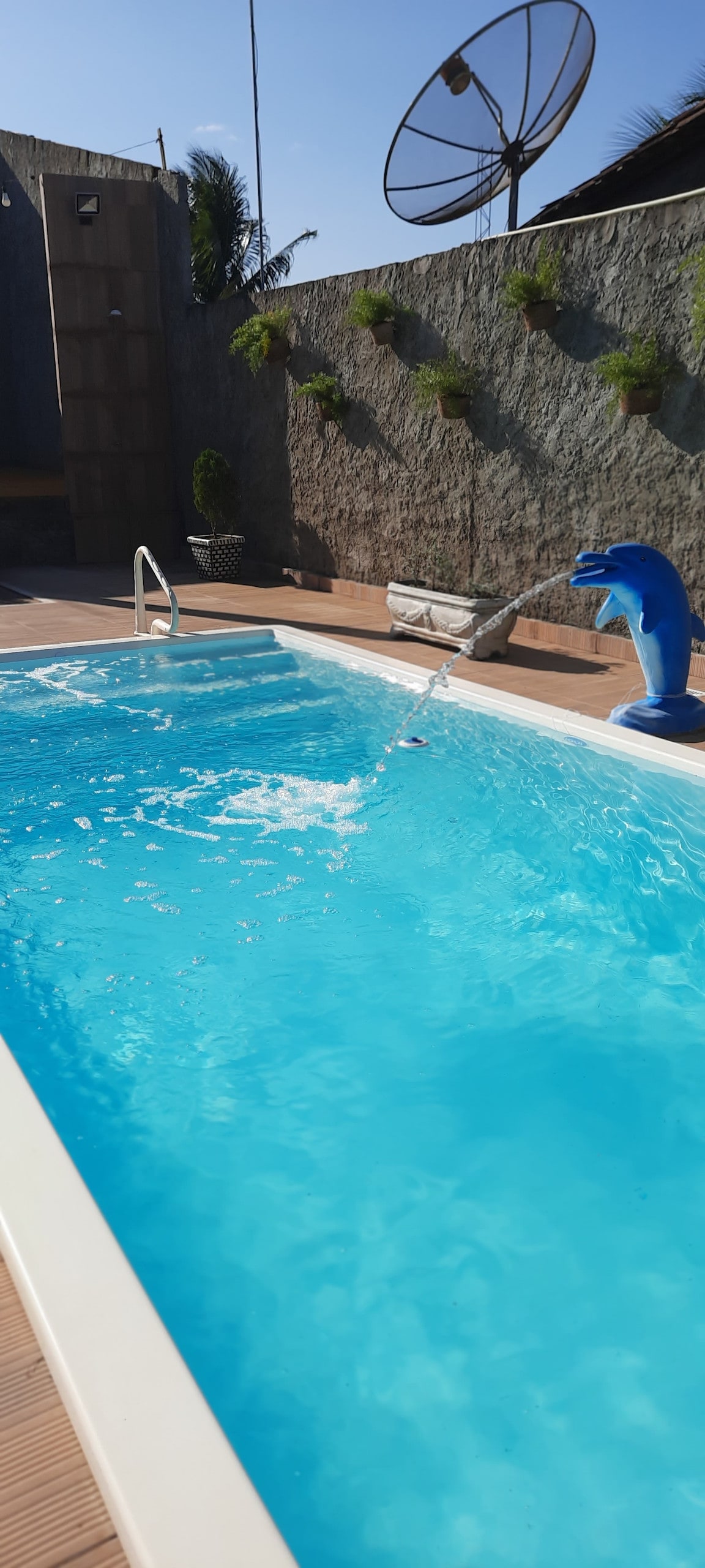 A refreshing swimming pool is surrounded by textured stone walls, enhanced with greenery. A dolphin-shaped fountain features water gently cascading into the pool. Sunlight reflects off the clear blue water, creating a vibrant and inviting atmosphere.