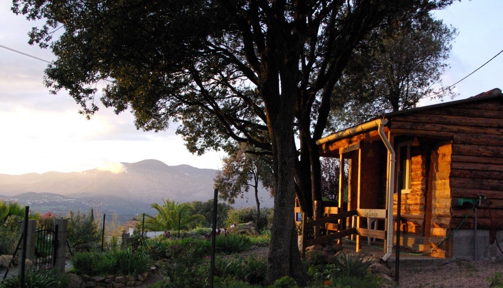 A rustic chalet is framed by mature trees, with a scenic view of distant mountains. The structure features wooden logs and a welcoming porch. Lush greenery surrounds the area, enhancing the natural setting.