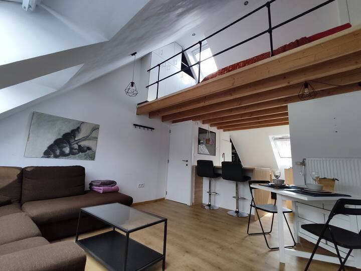 Ghent Holiday Rentals & Homes Flanders, Belgium Airbnb