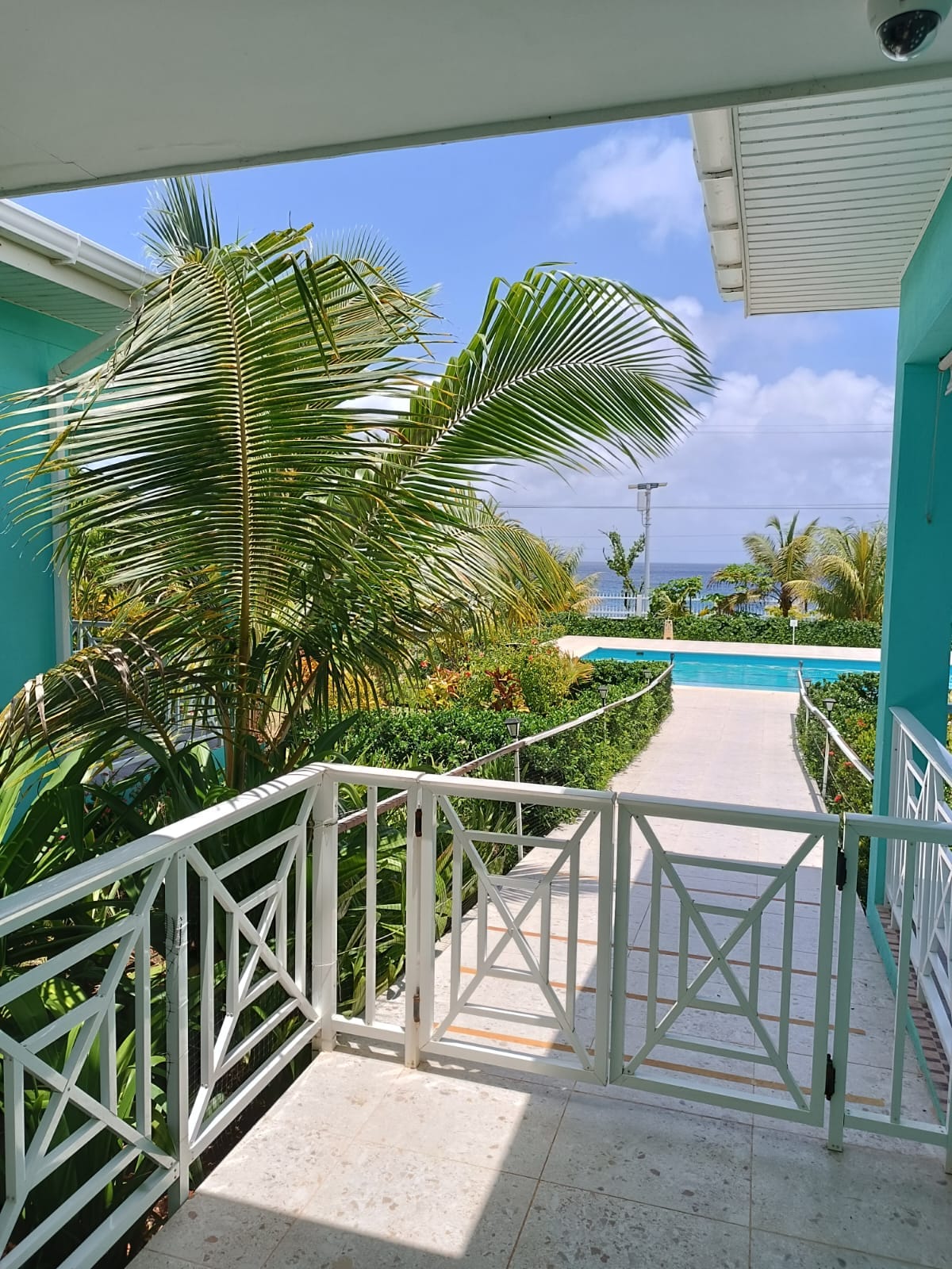 A view from a balcony shows lush landscaping with tropical plants and palm trees. A pathway leads towards a swimming pool in the background, with the ocean visible in the distance under a clear blue sky.
