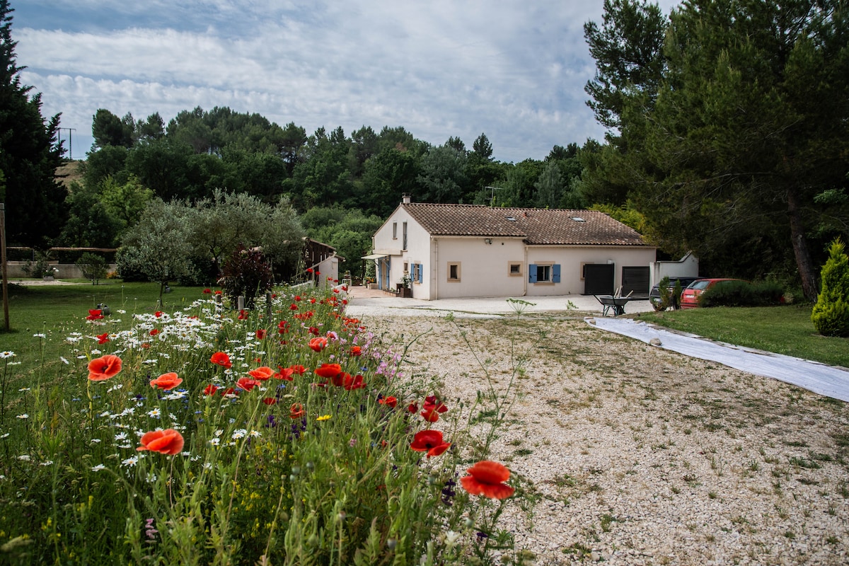 The serene countryside home is framed by vibrant red poppies and wildflowers, complementing the natural surroundings. A gravel pathway leads to the entrance, with greenery and trees present in the background, enhancing the tranquil atmosphere of the outdoor space.