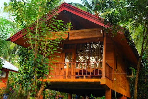 Feel the nature with us