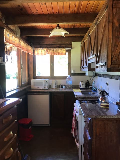 Top performing Airbnb: A FAIRYTALE CABIN ON THE CARRILEUFU RIVER in Departamento Cushamen
