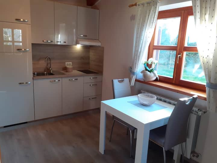 Plaža Simonov zaliv Holiday Rentals & Homes Izola, Slovenia Airbnb