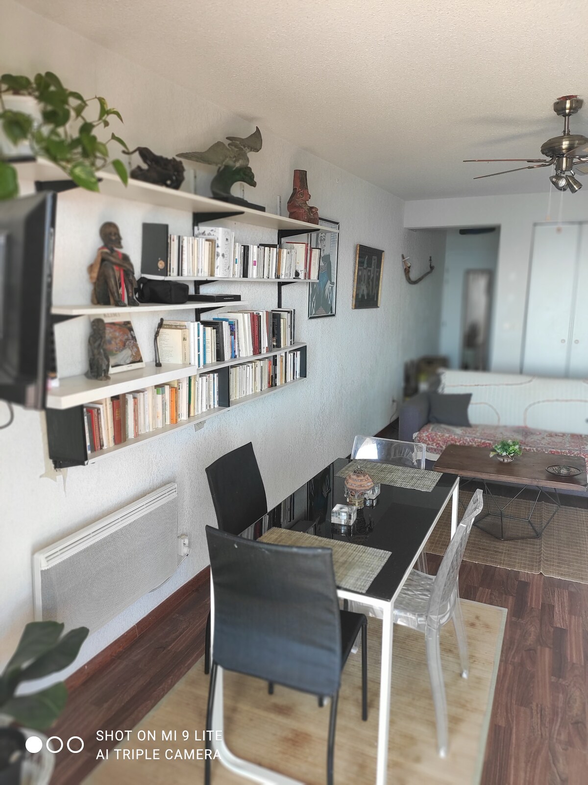 A dining area features a sleek black table surrounded by transparent chairs. Floating shelves display assorted books and decorative items, while a cozy living space is visible in the background. Plants add a touch of greenery to the room, complemented by wooden flooring.