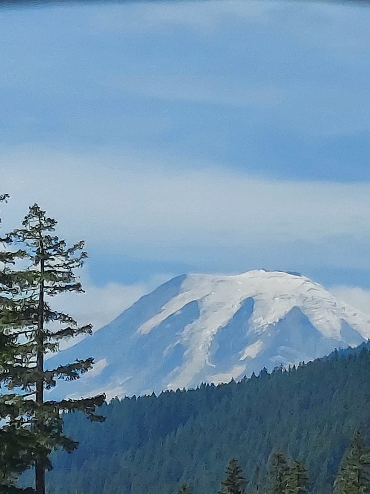 Riffe Lake Vacation Rentals & Homes Washington, United States Airbnb