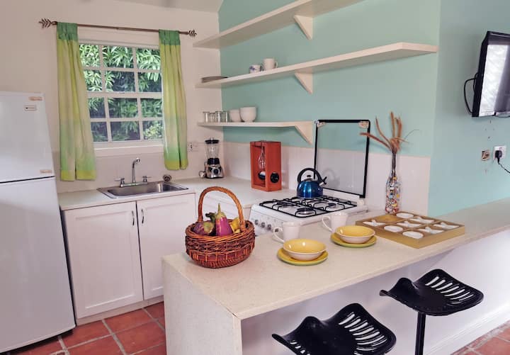 Top 10 Airbnb Vacation Rentals In Roseau, Dominica Updated 2024 Trip101