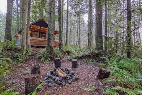 NEW Creekside Cabin 8mi - Mt Rainier National Park