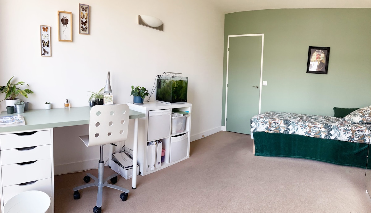 Детската соба 2 со единечен кревет 