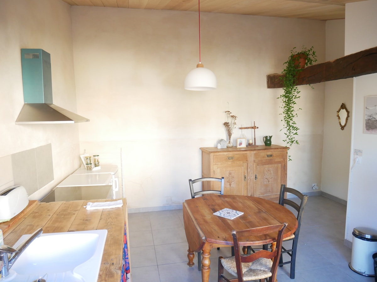 A kitchen area is presented with a wooden dining table surrounded by four chairs. A rustic sideboard is visible along with an inset sink and kitchen appliances. The walls display a neutral tone, and a pendant light hangs above, complemented by greenery from a potted plant.