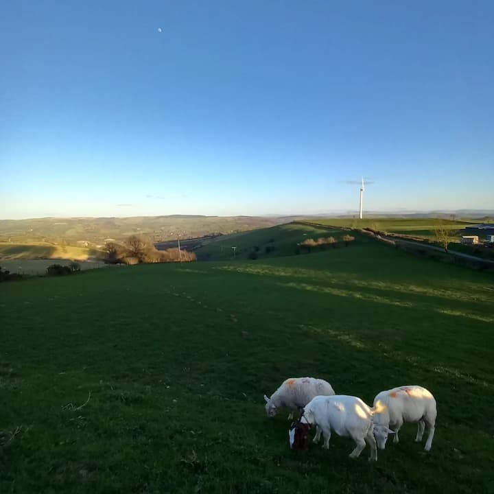 Cambrian Hills Lodge photo 2