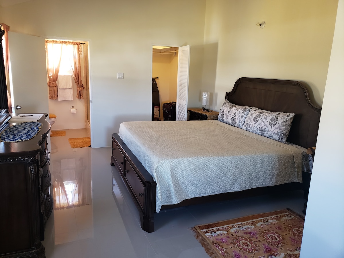 A spacious bedroom is featured with a large bed dressed in light linens. Natural light enters through a window, illuminating the polished floor. A wooden dresser and a vibrant area rug add warmth to the room, while doors lead to an adjoining space.