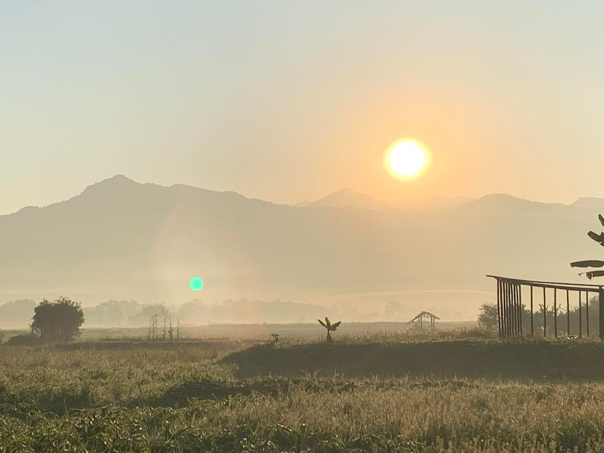 A serene landscape captures the early morning sun rising over misty mountains. Silhouettes of trees and distant structures are visible against the warm glow of the sky, creating a peaceful setting in the foreground. The tranquil atmosphere suggests a refreshing start to the day.