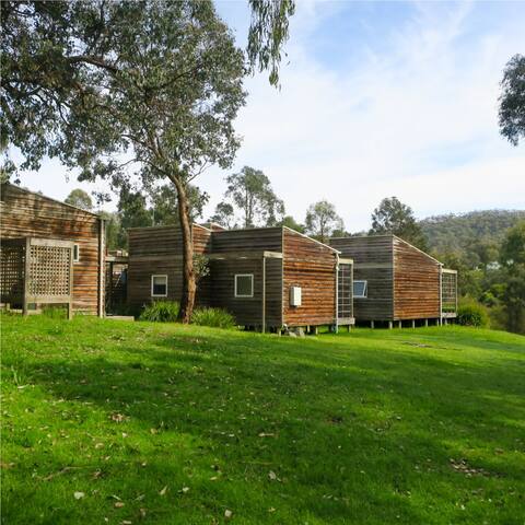The Cedar House