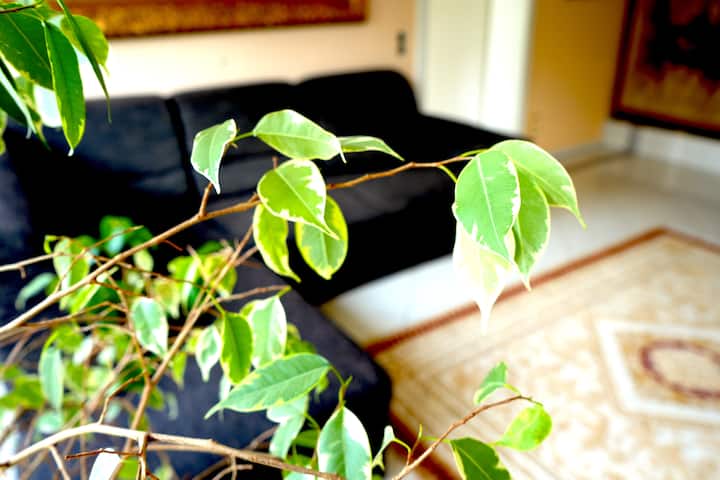 Living room 2 overlooking the garden and a cozy upholstered sofa