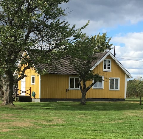Successful Airbnb property: Nice vacation home with hot tub in Torsås