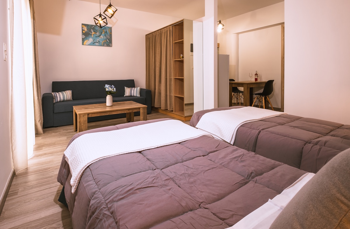 A spacious room features two beds with soft bedding, complemented by a cozy seating area with a dark sofa and wooden coffee table. A plant sits on the table, while a curtain separates the living space from the rest of the accommodation.