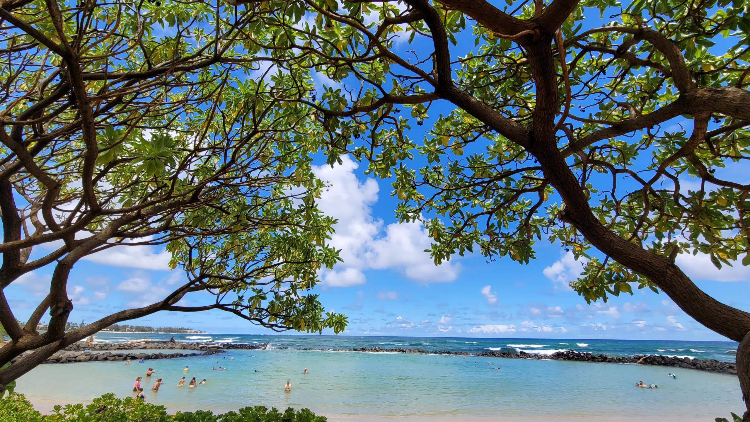 Home in Kapaa · ★4.96 · 4 bedrooms · 5 beds · 2 baths - Image 22