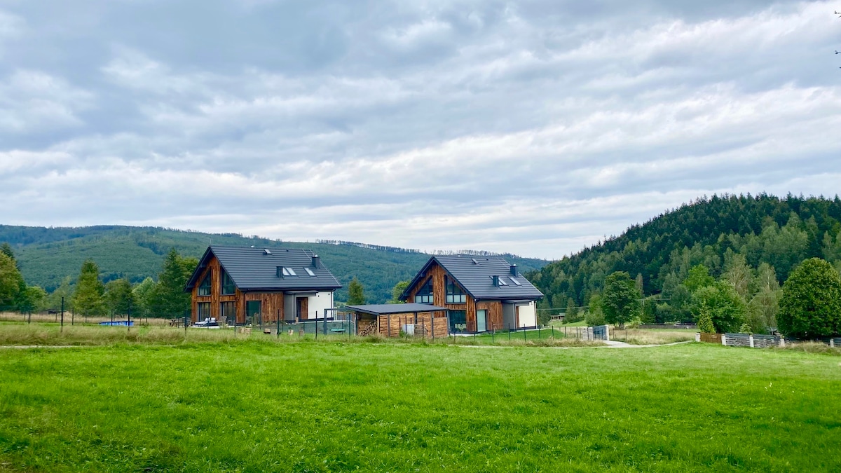Two luxury houses are situated on a spacious green lawn, surrounded by trees and rolling hills. The buildings feature wooden exteriors and large windows, blending harmoniously with the natural landscape under a cloudy sky.
