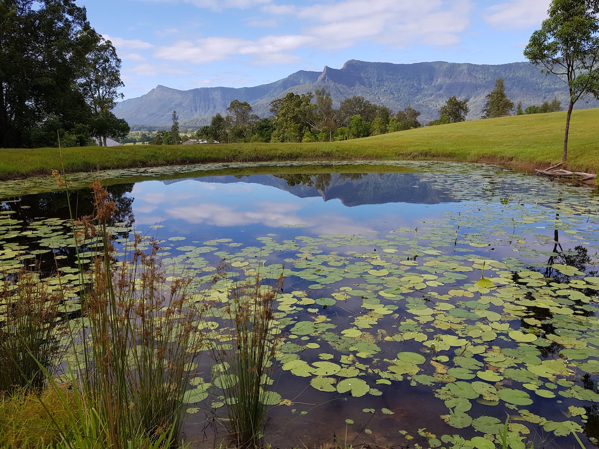 Top Airbnb: Pinnacle View Private Studio in Tweed Shire Council