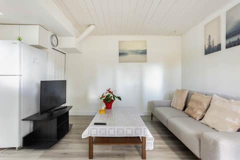 Popular Airbnb listing: Quiet 1 Bed 1 Living Gig Wifi/AC/Parking/Near YVR in Richmond