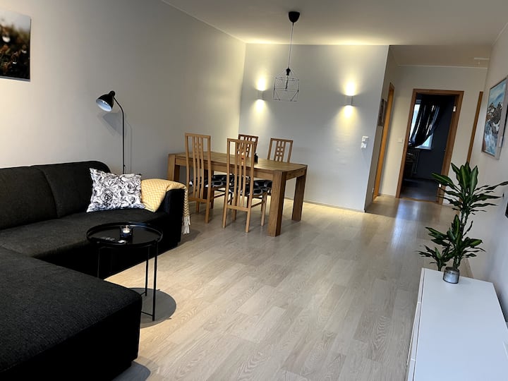 Top 10 LongTerm Rentals In Reykjavík, Iceland Updated 2024 Trip101