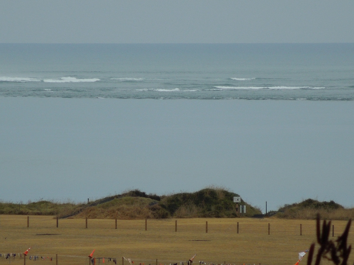 The image showcases a serene view of the ocean, with gentle waves breaking on the surface. The horizon merges seamlessly with the muted sky, while grassy land is visible in the foreground, hinting at a natural coastal environment. A tranquil atmosphere is conveyed.