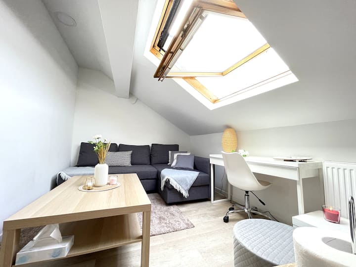 4-superbe Appartement Sur Reims - Saint-anne - Reims