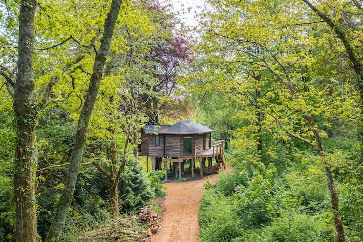 Cornish Treehouse photo 3