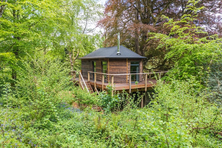 Cornish Treehouse photo 5