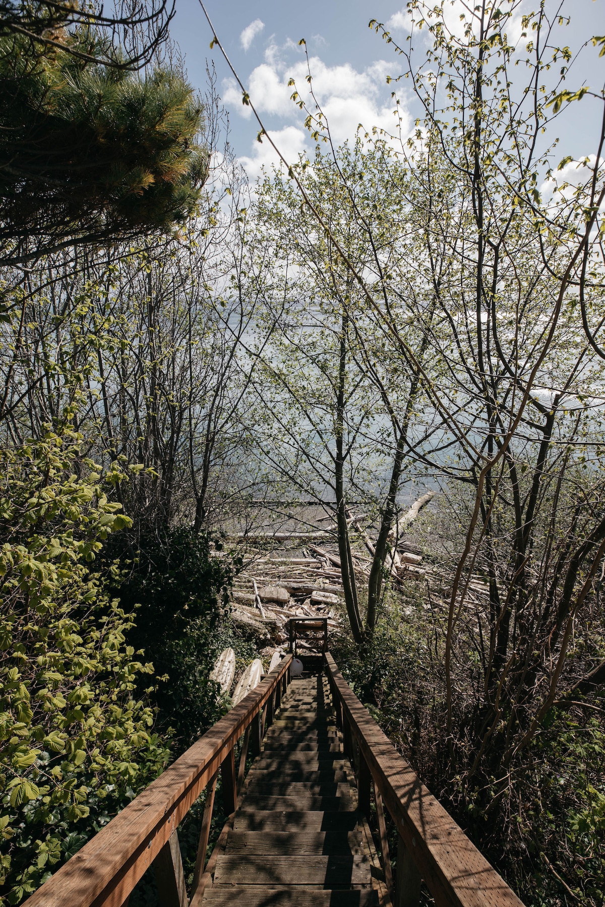 A wooden staircase is seen winding down through lush greenery towards a beach area. Sunlight filters through budding leaves, illuminating the path. The view reveals a waterfront dotted with driftwood, framed by trees offering a sense of seclusion and tranquility.