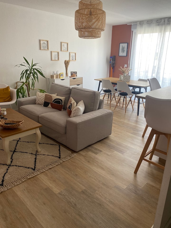 Charmant Appartement Calme En Centre Ville - Montpellier