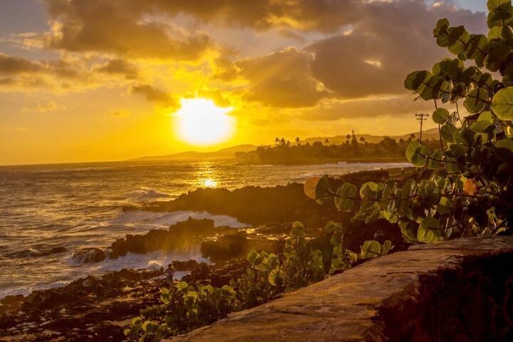 koolkondo Shores 405 Ocean Front