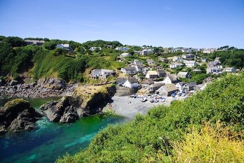 Seawatch, Cadgwith