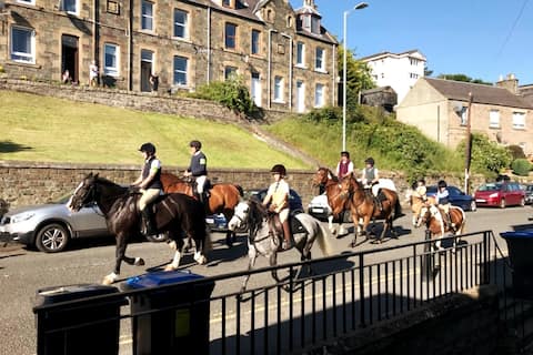The Cosy Flat in Galashiels