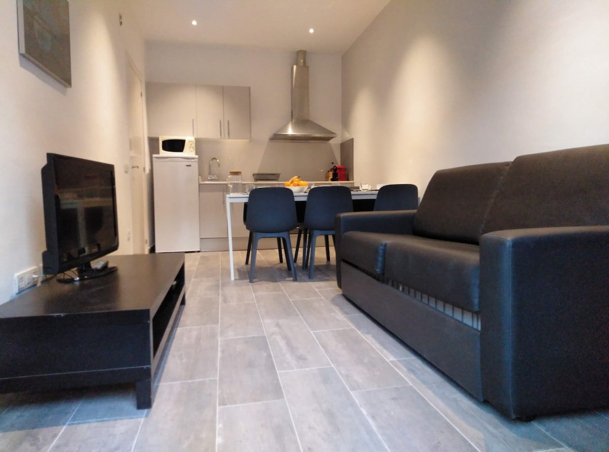 A modern living area features a sleek black sofa and a flat-screen television on a low table. A dining set with four chairs is positioned near a well-equipped kitchen, which includes stainless steel appliances, creating a functional and comfortable space.