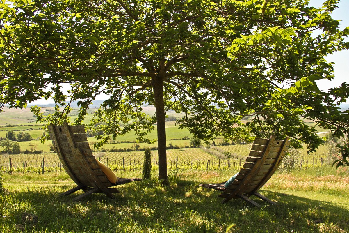 Airbnb con migliori performance: Apartment with stunning view on the vineyards a Castellina In Chianti