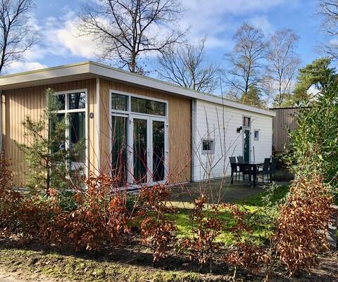 Luxury holiday home on the Veluwe with sauna