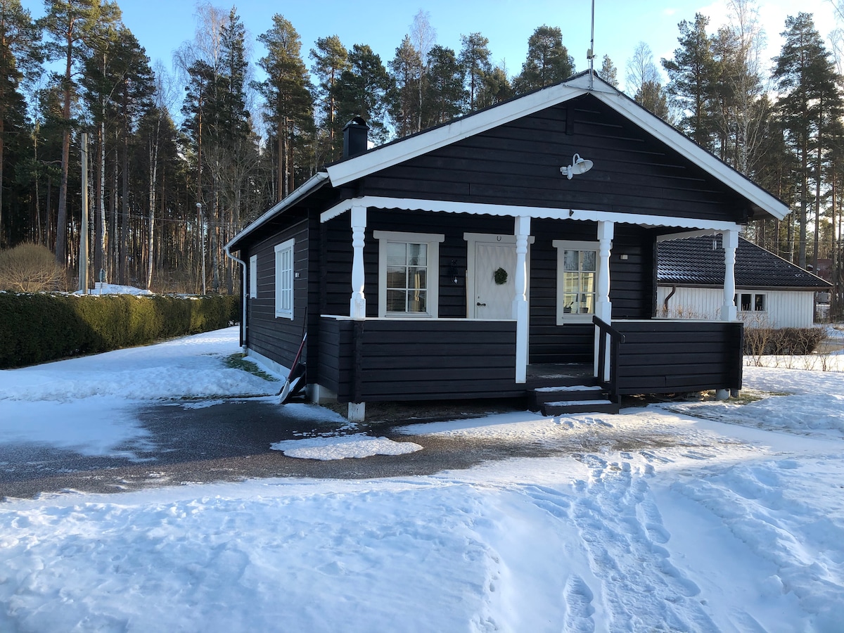 A charming black wooden cabin is set against a backdrop of snow and trees. The front features a wraparound porch with white railings. Windows allow natural light to brighten the interior. A pathway in the snow leads to the entrance, enhancing accessibility.