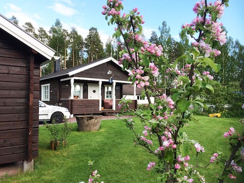 Popular Airbnb listing: Cozy newly renovated cottage with loft in Leksand