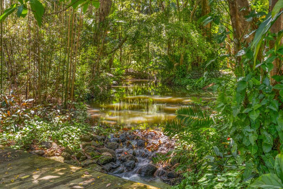 Bliss Villa, in a Balinese garden behind Byron Bay, The Pocket, New South Wales, Australia, photo 10 of 10