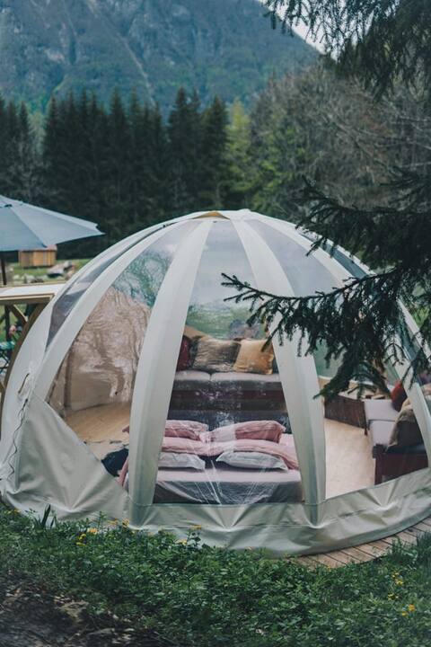 Clear bubble immersed in nature