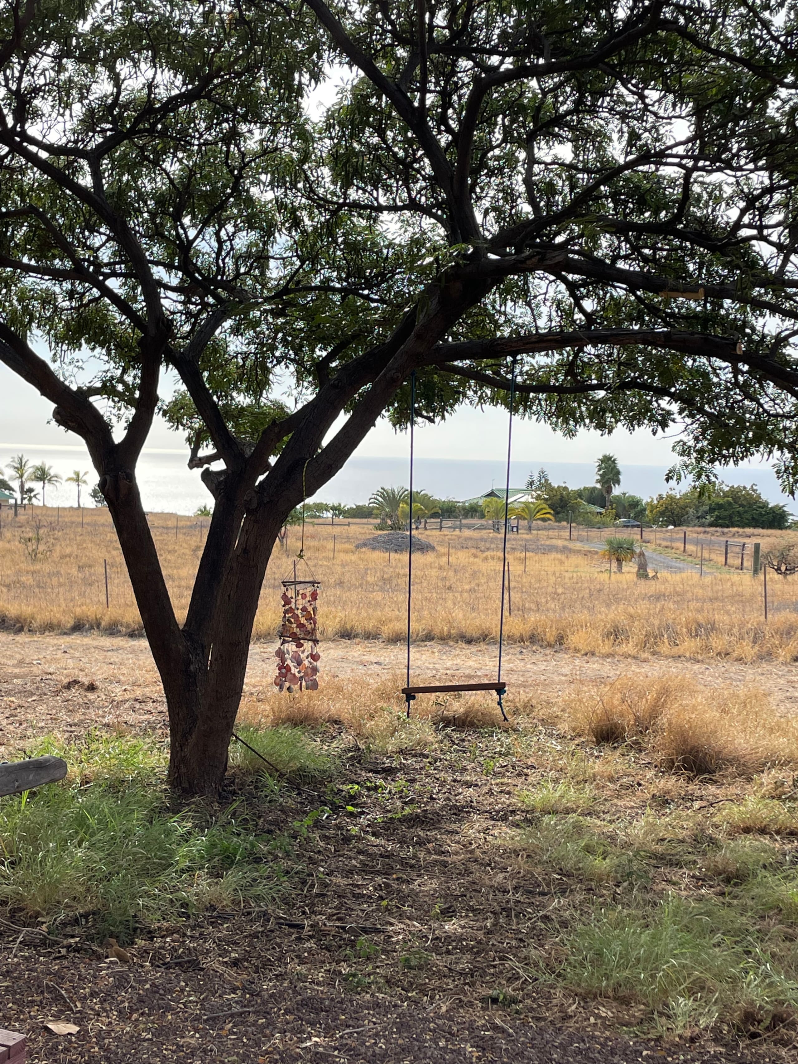 Tiny Home - Photo 16