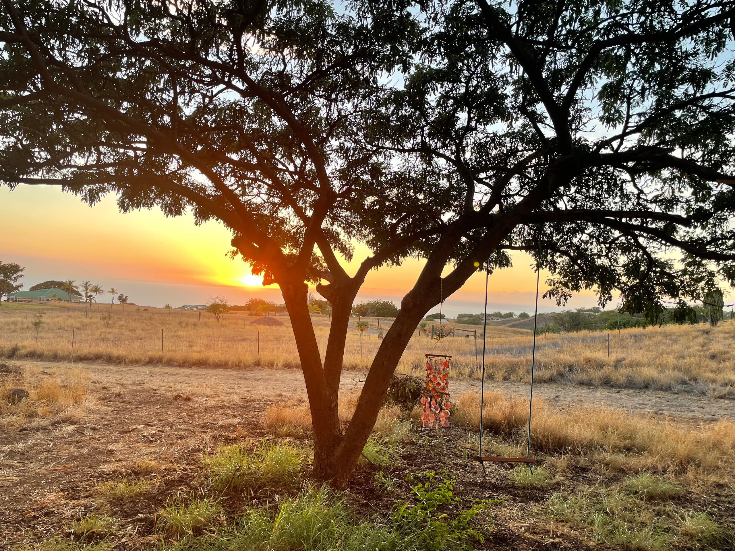 Tiny Home - Photo 14